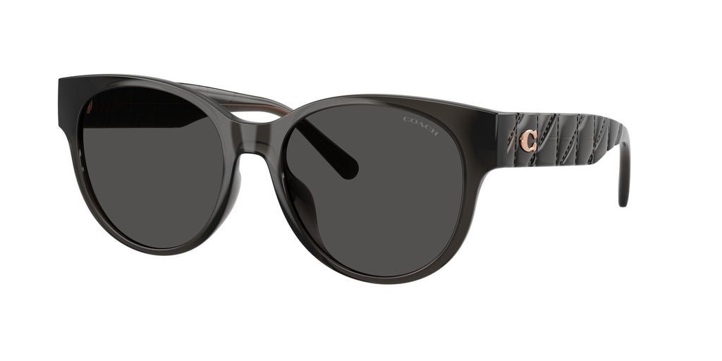 Coach Cae87 HC8430D 589787 56 Transparent Dark Grey / Grey Solid