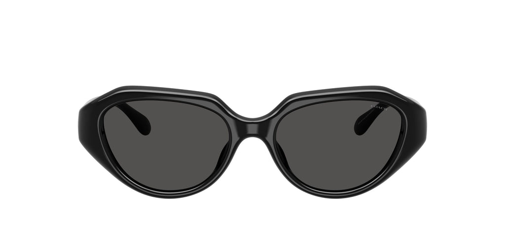 Coach 0HC8433U 500287 52 Black/ Grey Solid