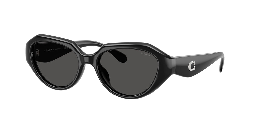 Coach 0HC8433U 500287 52 Black/ Grey Solid