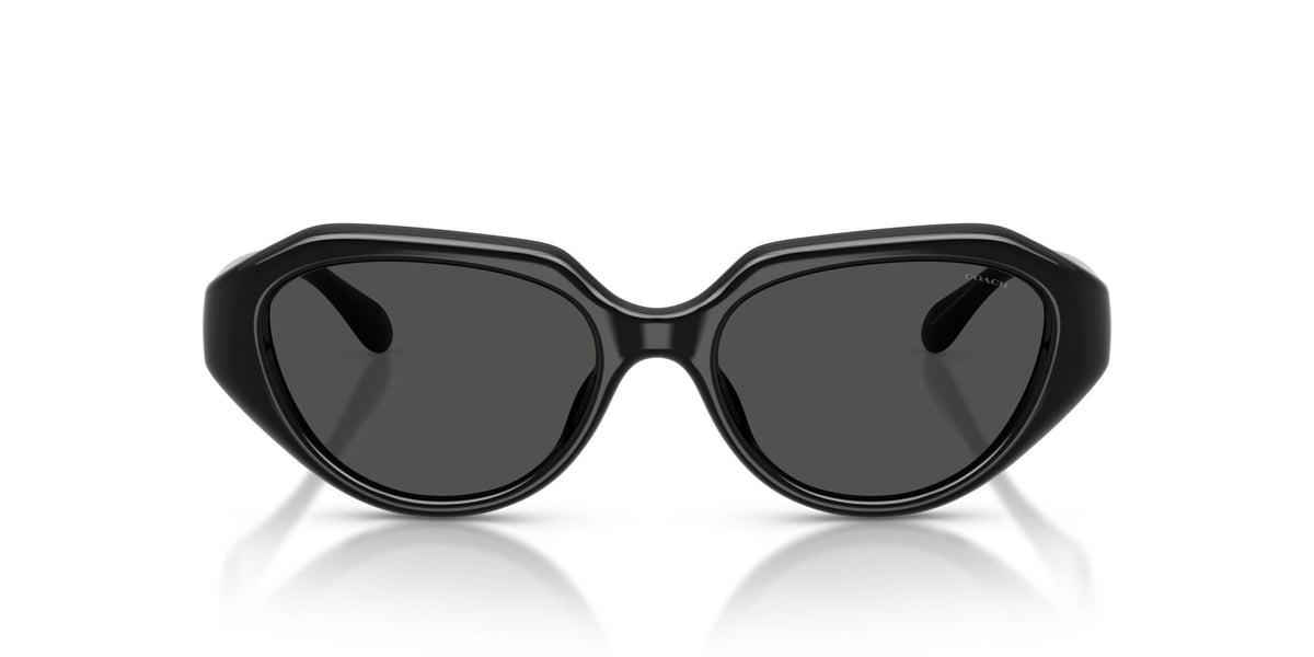 Coach 0HC8433U 500287 52 Black/ Grey Solid