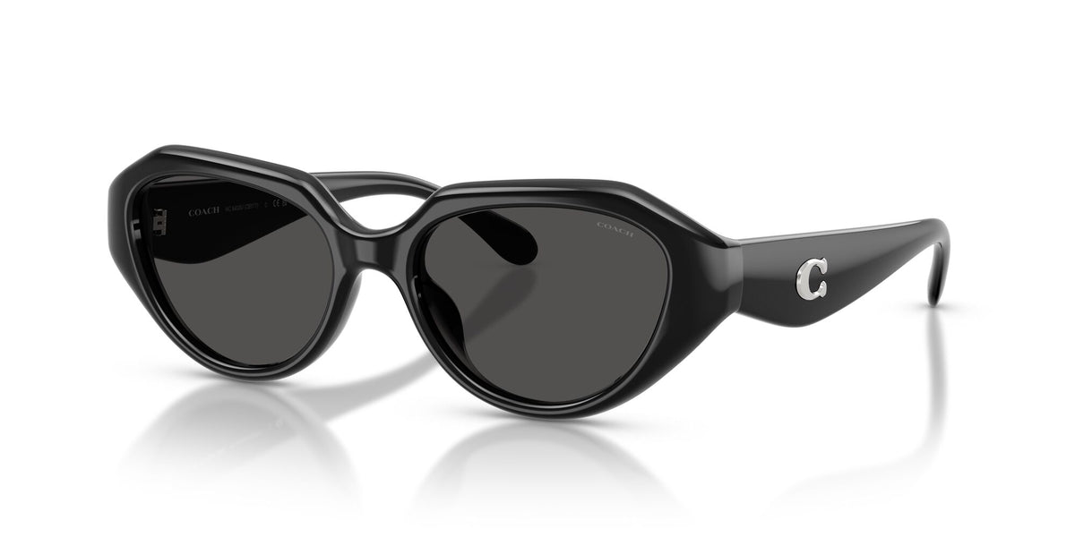 Coach 0HC8433U 500287 52 Black/ Grey Solid