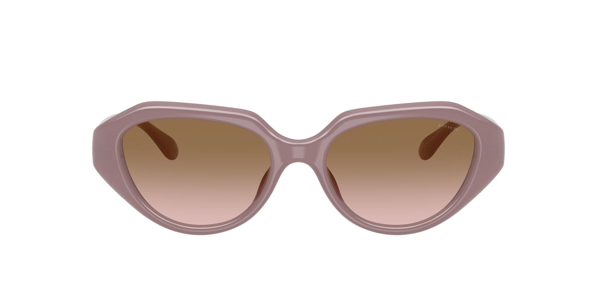 Coach 0HC8433U 549511 52 Milky Putty/ Brown Peach Gradient