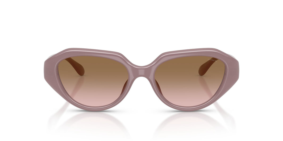 Coach 0HC8433U 549511 52 Milky Putty/ Brown Peach Gradient