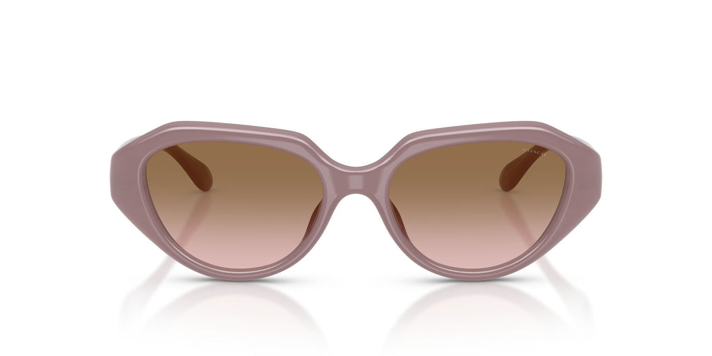 Coach 0HC8433U 549511 52 Milky Putty/ Brown Peach Gradient