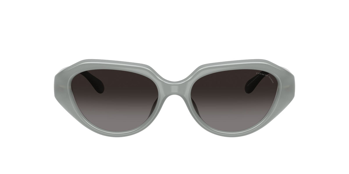 Coach 0HC8433U 5905T3 52 Milky Eucalyptus/ Grey