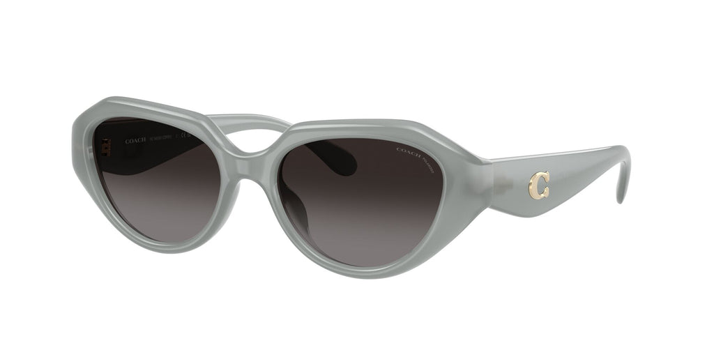 Coach 0HC8433U 5905T3 52 Milky Eucalyptus/ Grey