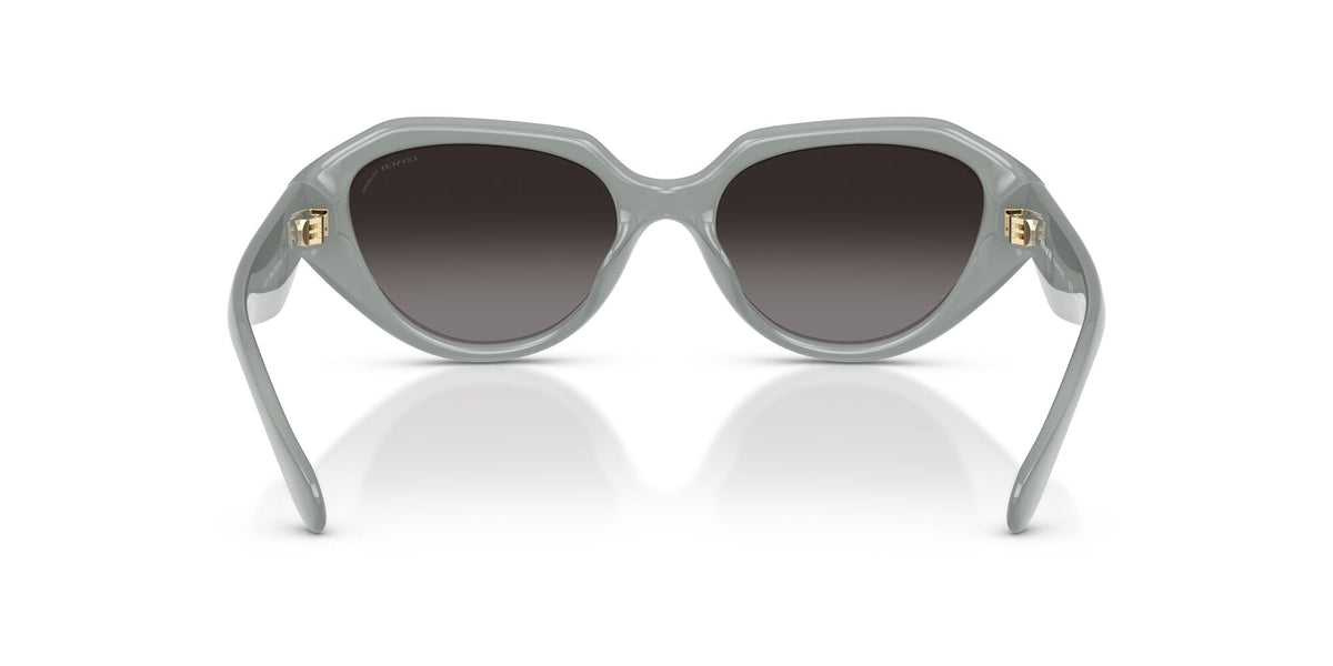 Coach 0HC8433U 5905T3 52 Milky Eucalyptus/ Grey