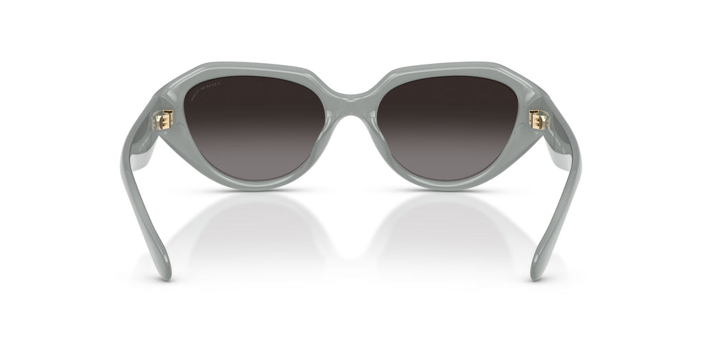 Coach 0HC8433U 5905T3 52 Milky Eucalyptus/ Grey