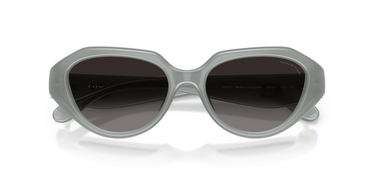 Coach 0HC8433U 5905T3 52 Milky Eucalyptus/ Grey