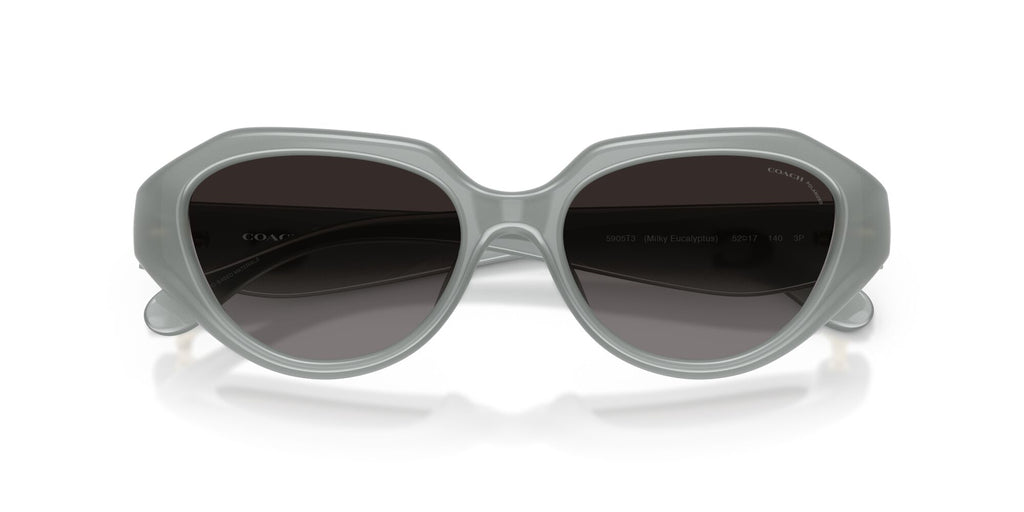 Coach 0HC8433U 5905T3 52 Milky Eucalyptus/ Grey