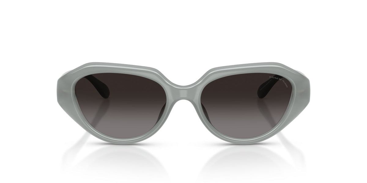 Coach 0HC8433U 5905T3 52 Milky Eucalyptus/ Grey