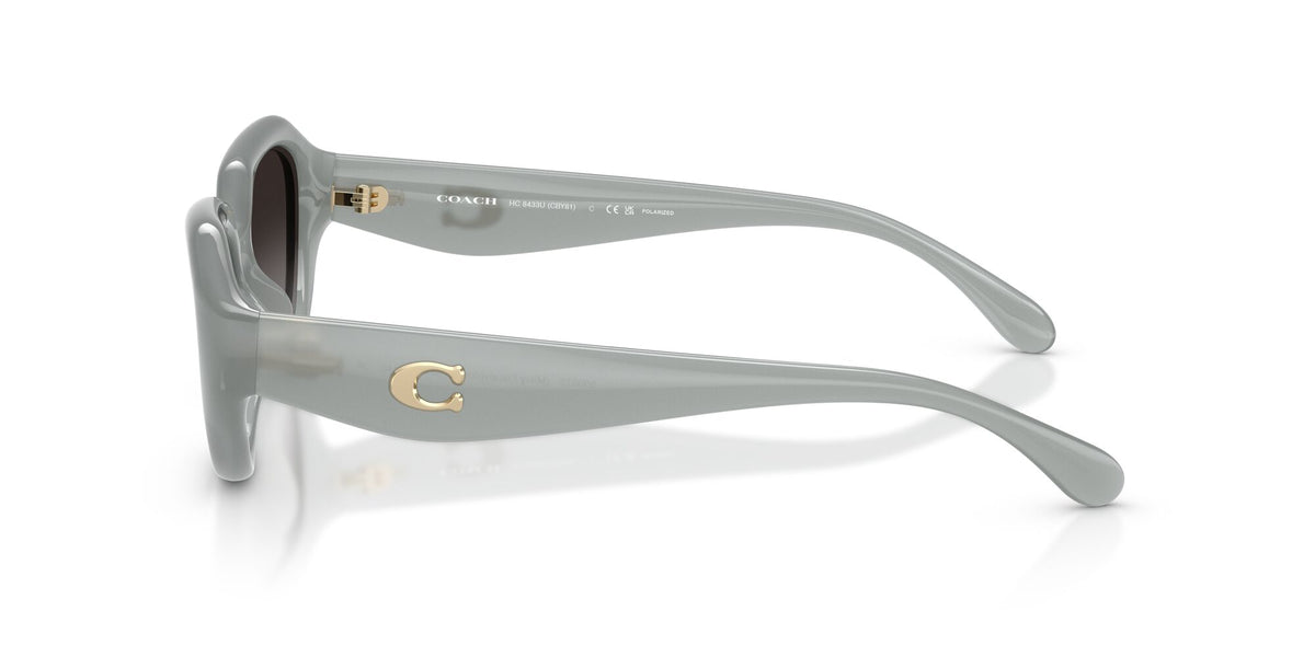 Coach 0HC8433U 5905T3 52 Milky Eucalyptus/ Grey