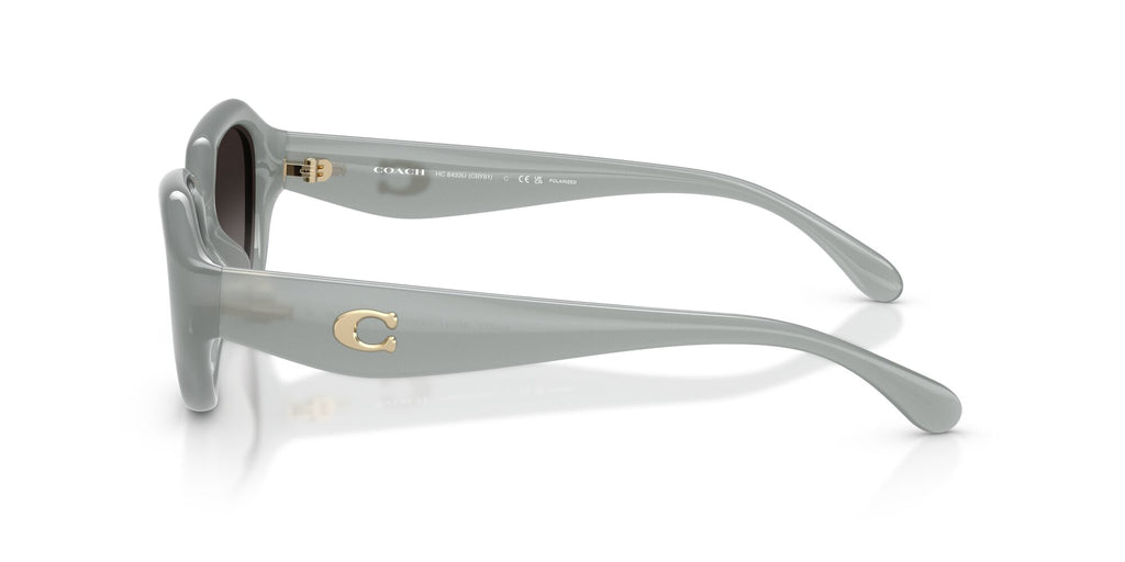 Coach 0HC8433U 5905T3 52 Milky Eucalyptus/ Grey