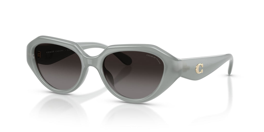 Coach 0HC8433U 5905T3 52 Milky Eucalyptus/ Grey