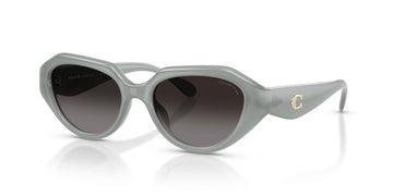 Coach 0HC8433U 5905T3 52 Milky Eucalyptus/ Grey