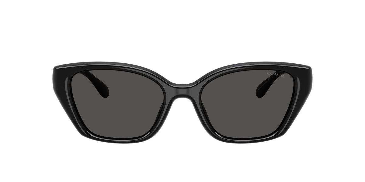 Coach 0HC8434U 500287 53 Black/ Grey Solid