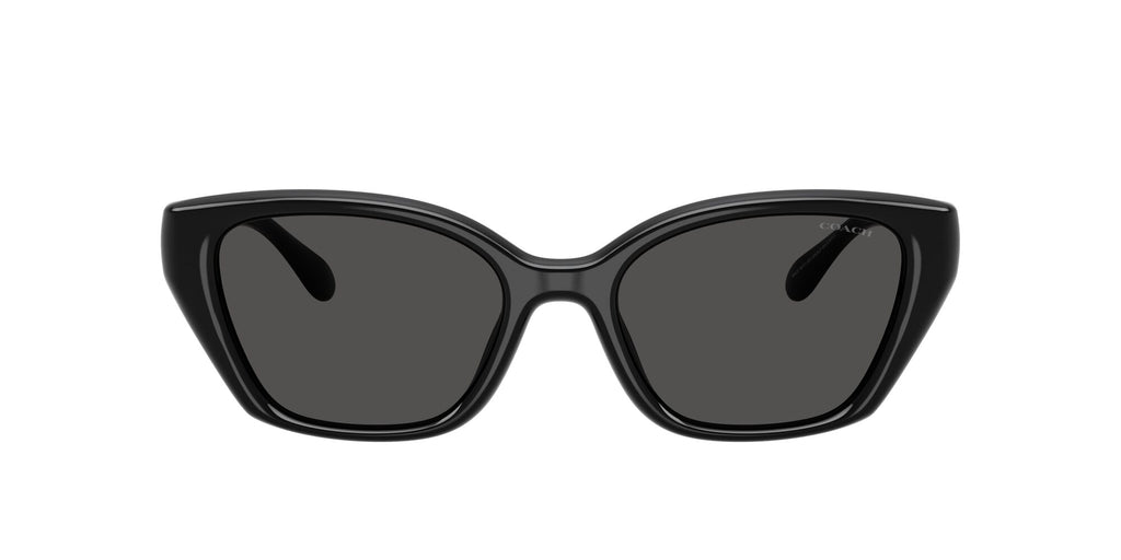 Coach 0HC8434U 500287 53 Black/ Grey Solid
