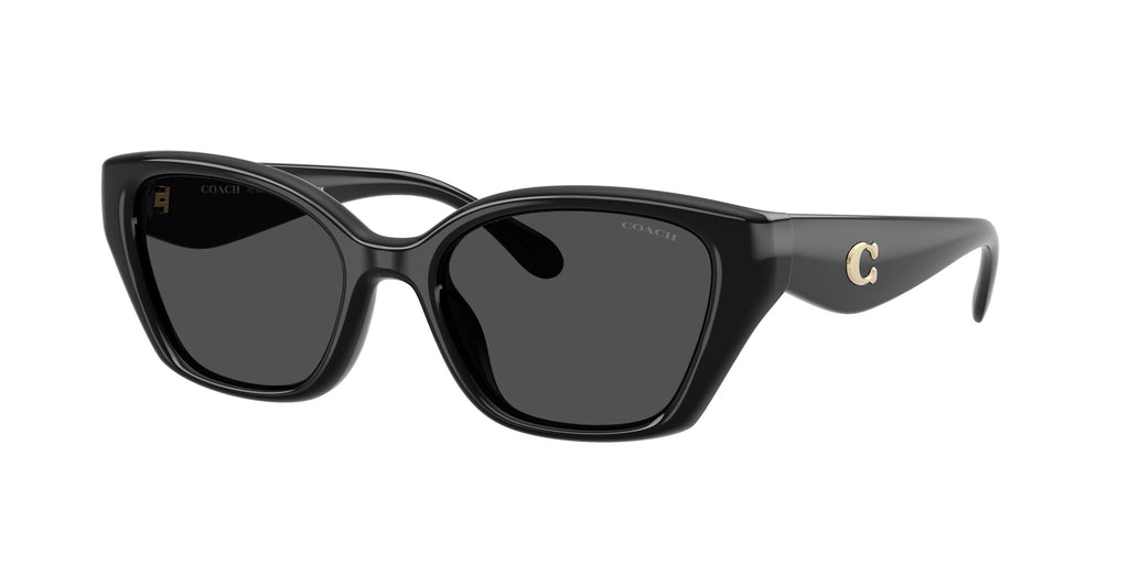 Coach 0HC8434U 500287 53 Black/ Grey Solid