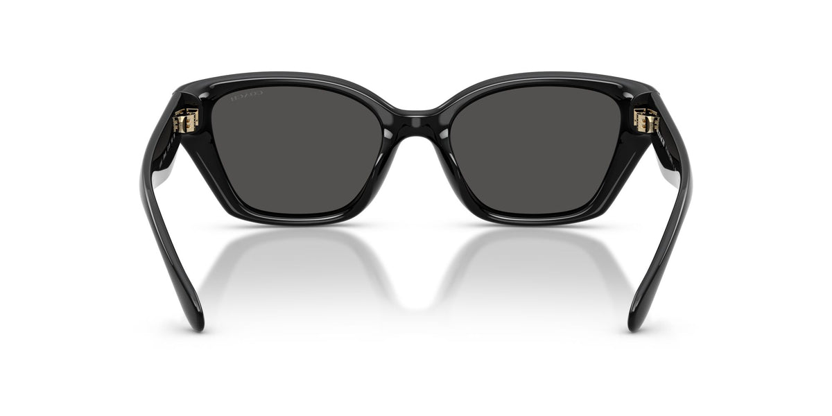 Coach 0HC8434U 500287 53 Black/ Grey Solid