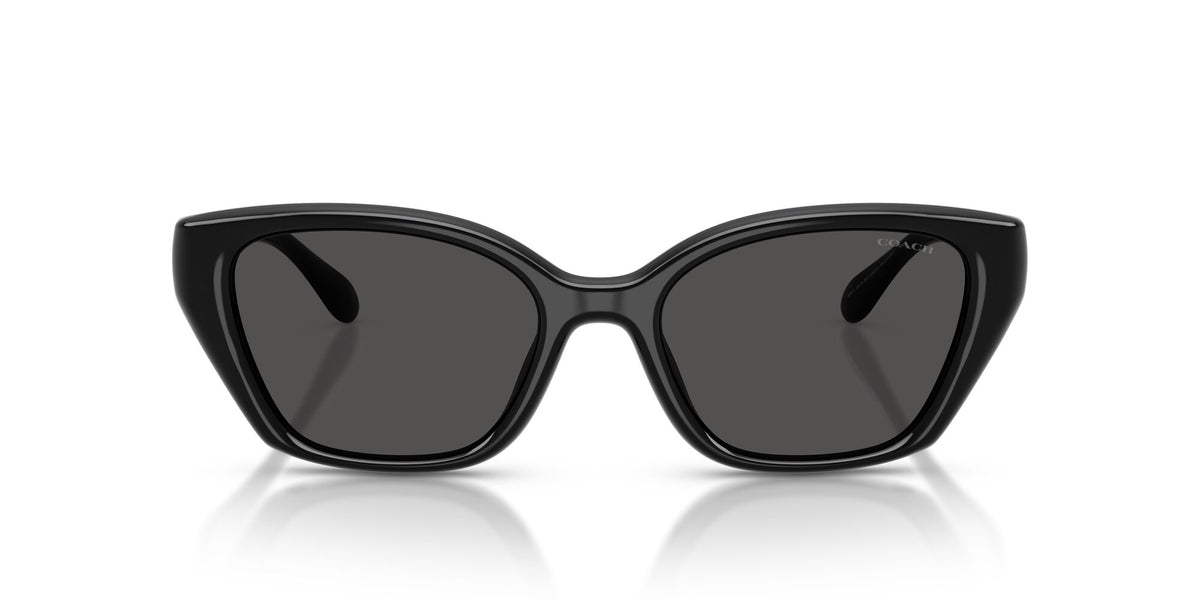 Coach 0HC8434U 500287 53 Black/ Grey Solid