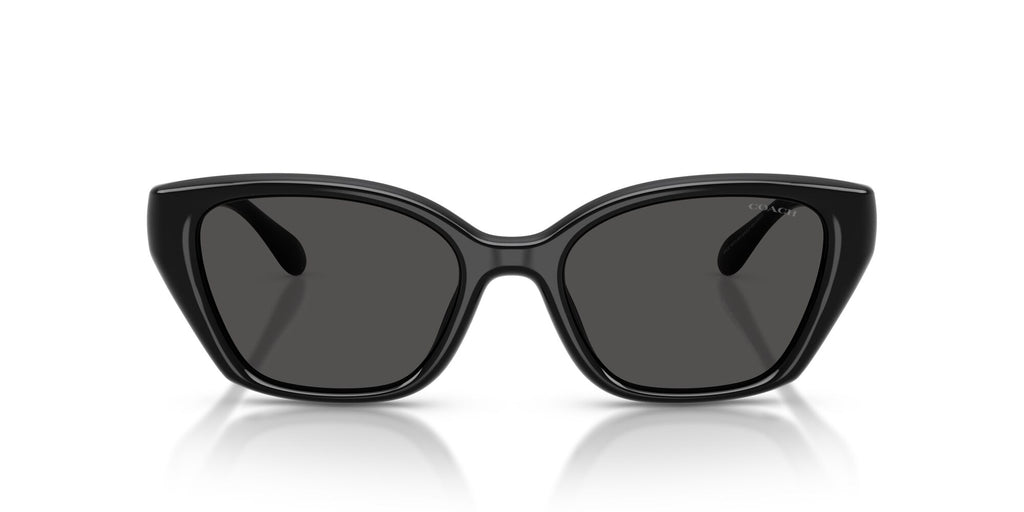 Coach 0HC8434U 500287 53 Black/ Grey Solid