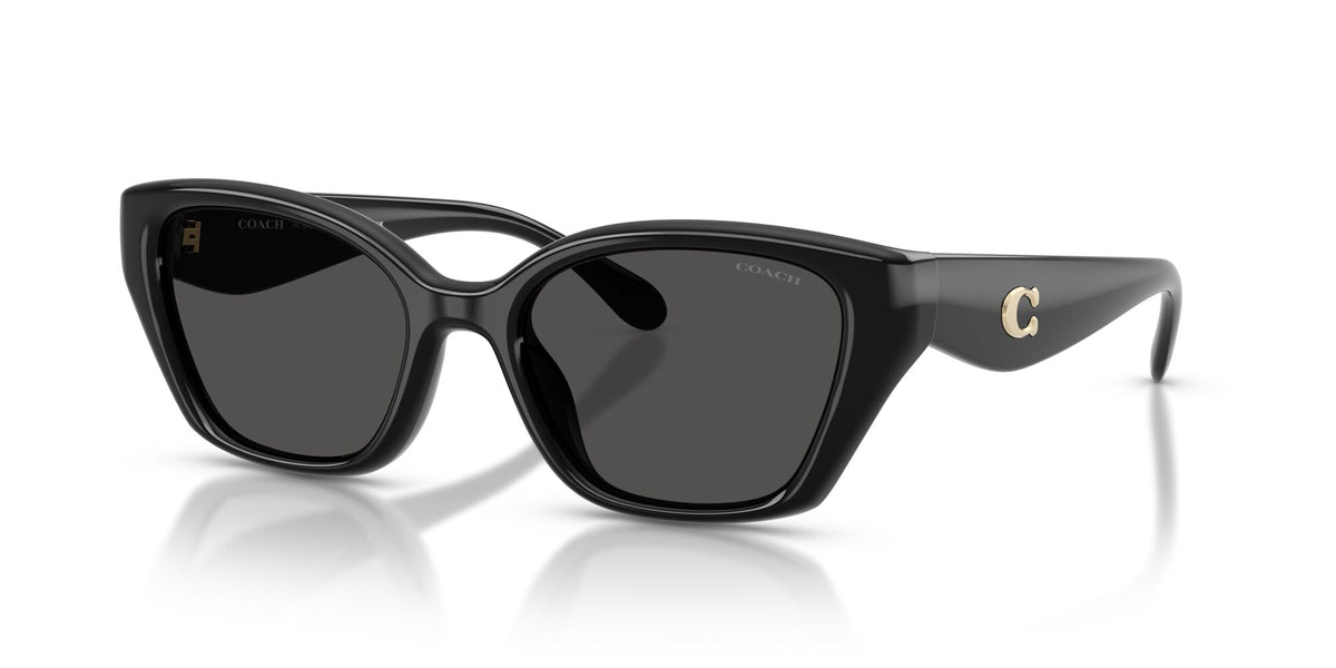 Coach 0HC8434U 500287 53 Black/ Grey Solid