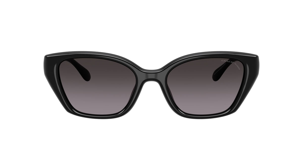Coach 0HC8434U 5002F4 53 Black/ Grey Gradient Polar