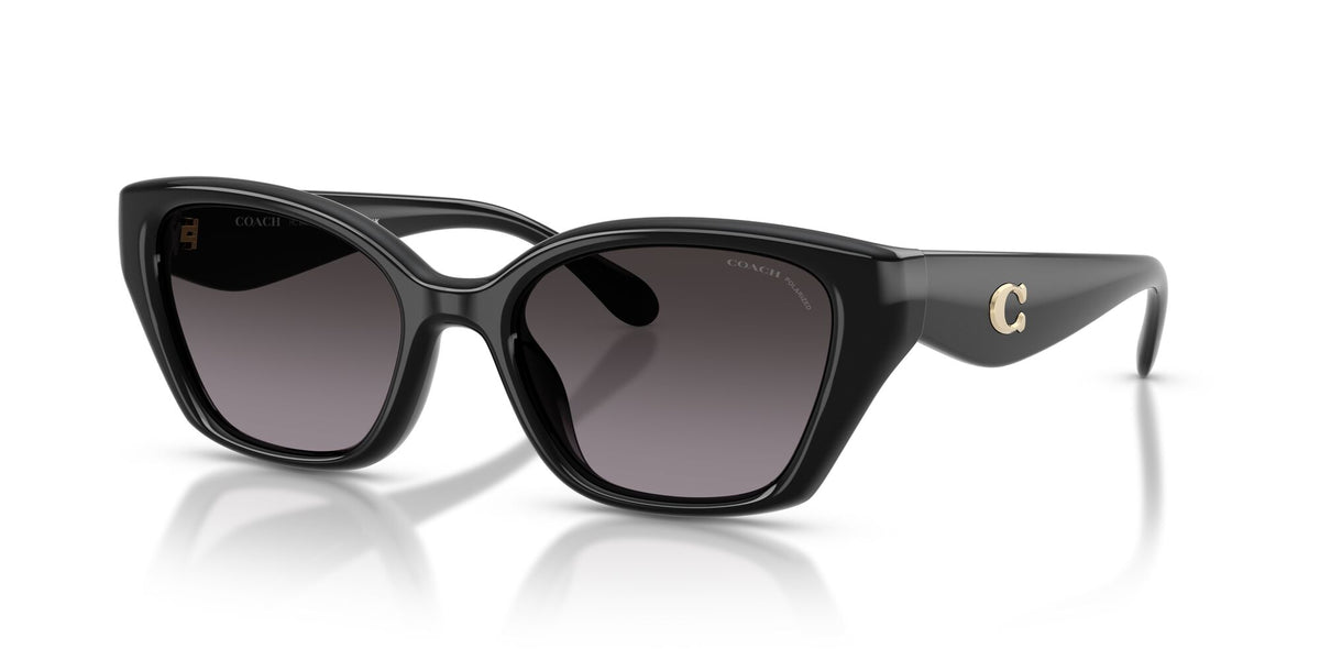 Coach 0HC8434U 5002F4 53 Black/ Grey Gradient Polar