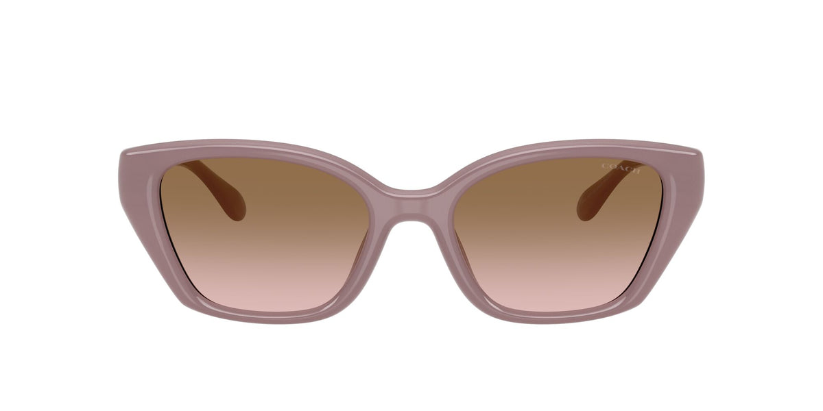Coach 0HC8434U 549511 53 Milky Putty/ Brown Peach Gradient