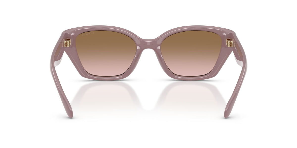 Coach 0HC8434U 549511 53 Milky Putty/ Brown Peach Gradient