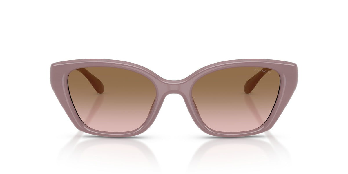 Coach 0HC8434U 549511 53 Milky Putty/ Brown Peach Gradient