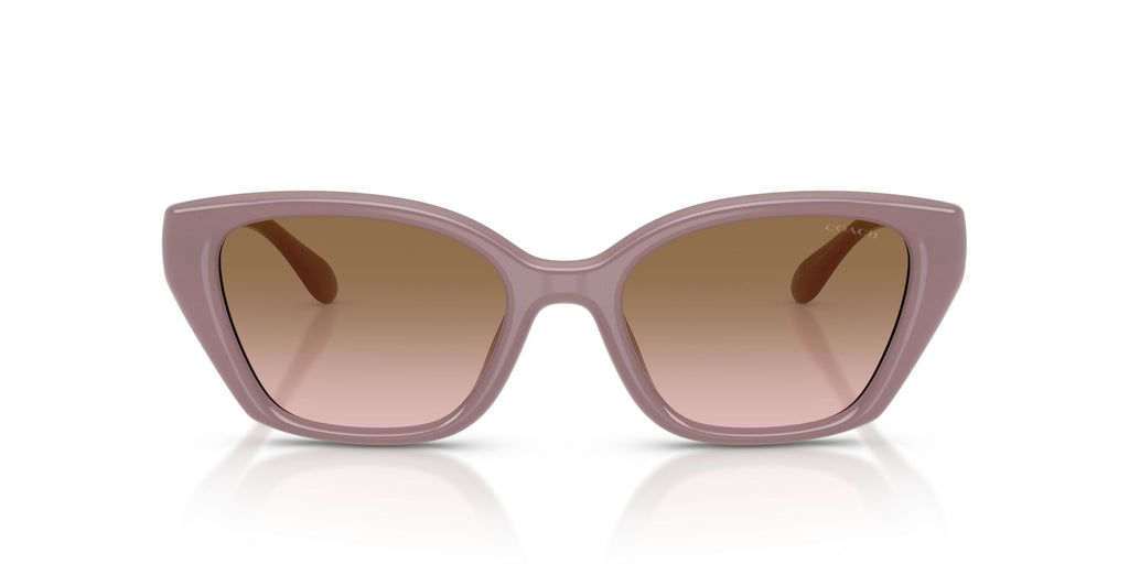 Coach 0HC8434U 549511 53 Milky Putty/ Brown Peach Gradient