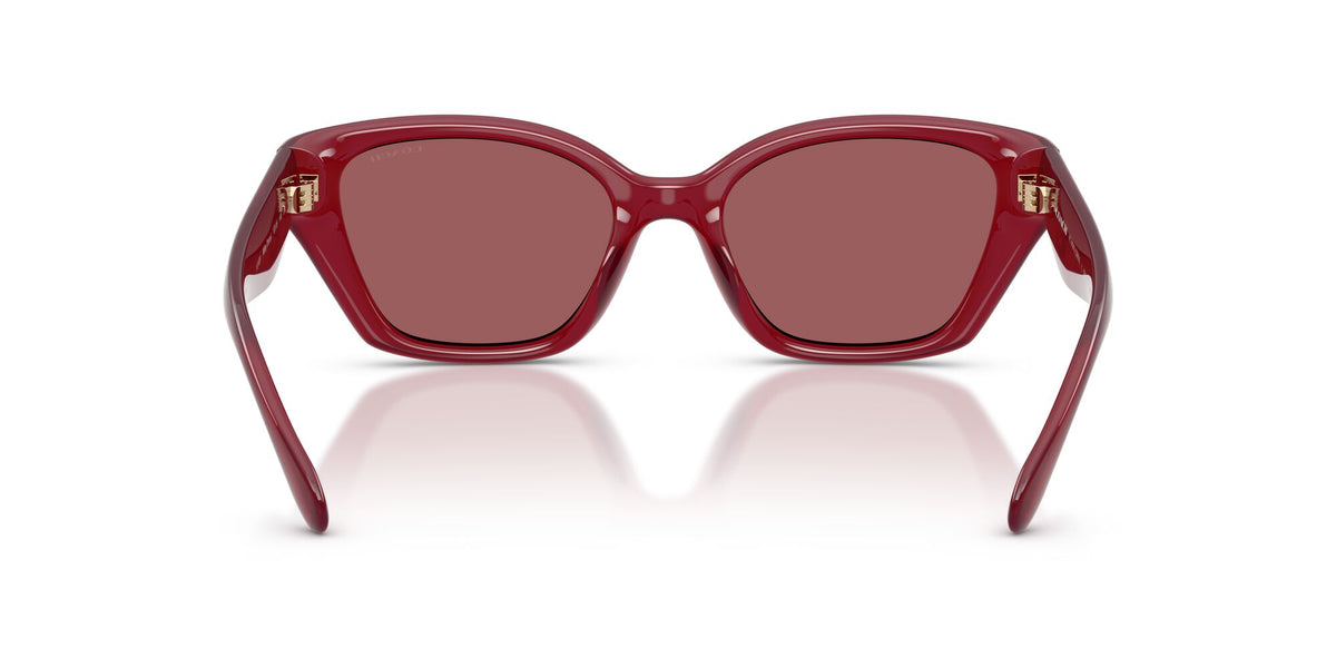 Coach 0HC8434U 5526D0 53 Milky Cherry/ Berry Flash