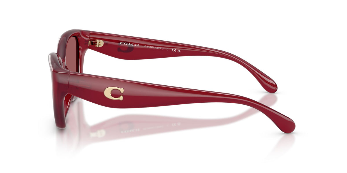 Coach 0HC8434U 5526D0 53 Milky Cherry/ Berry Flash