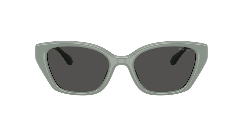 Coach 0HC8434U 592487 53 Industrial Grey/ Grey Solid