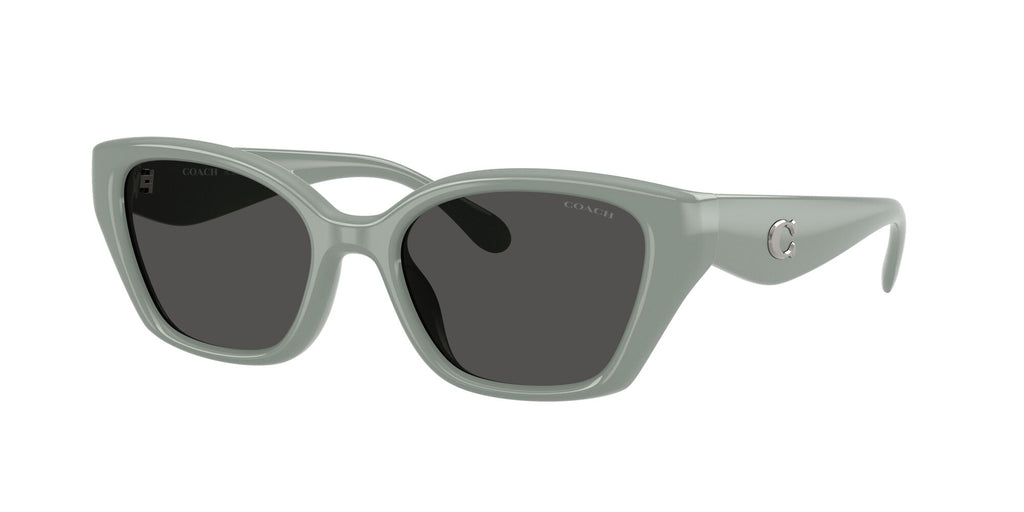 Coach 0HC8434U 592487 53 Industrial Grey/ Grey Solid