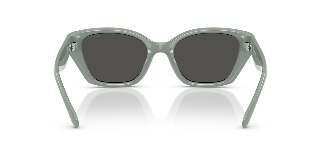 Coach 0HC8434U 592487 53 Industrial Grey/ Grey Solid