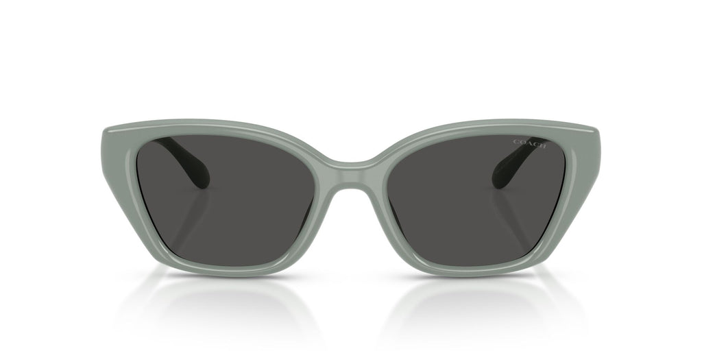 Coach 0HC8434U 592487 53 Industrial Grey/ Grey Solid