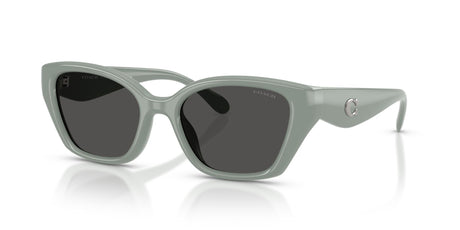 Coach 0HC8434U 592487 53 Industrial Grey/ Grey Solid