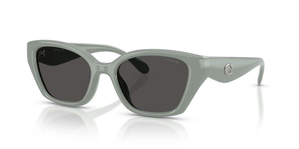 Coach 0HC8434U 592487 53 Industrial Grey/ Grey Solid