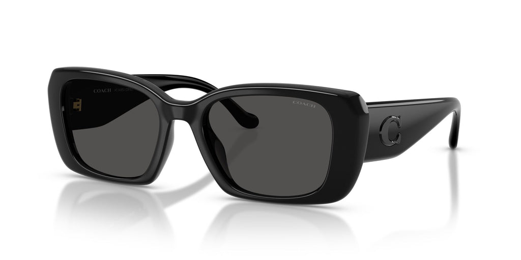 Coach 0HC8435U 500287 54 Black/ Grey Solid