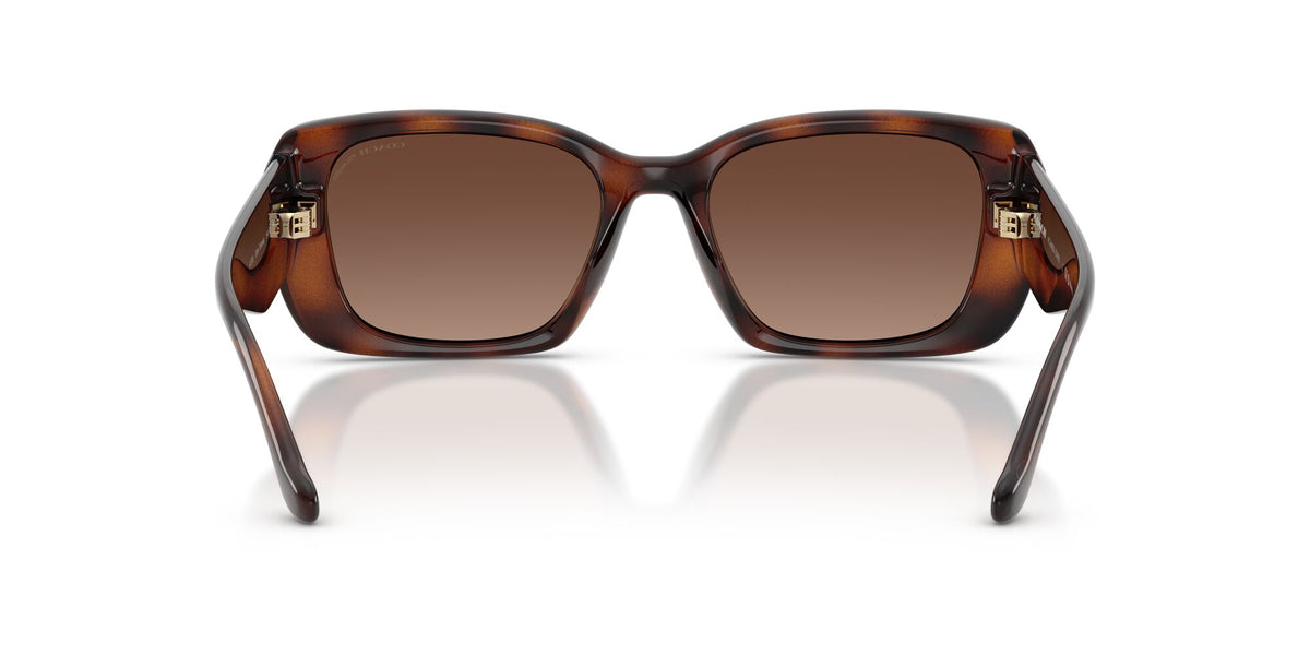 Coach 0HC8435U 5120T5 54 Dark Tortoise/ Brown Gradient Polar