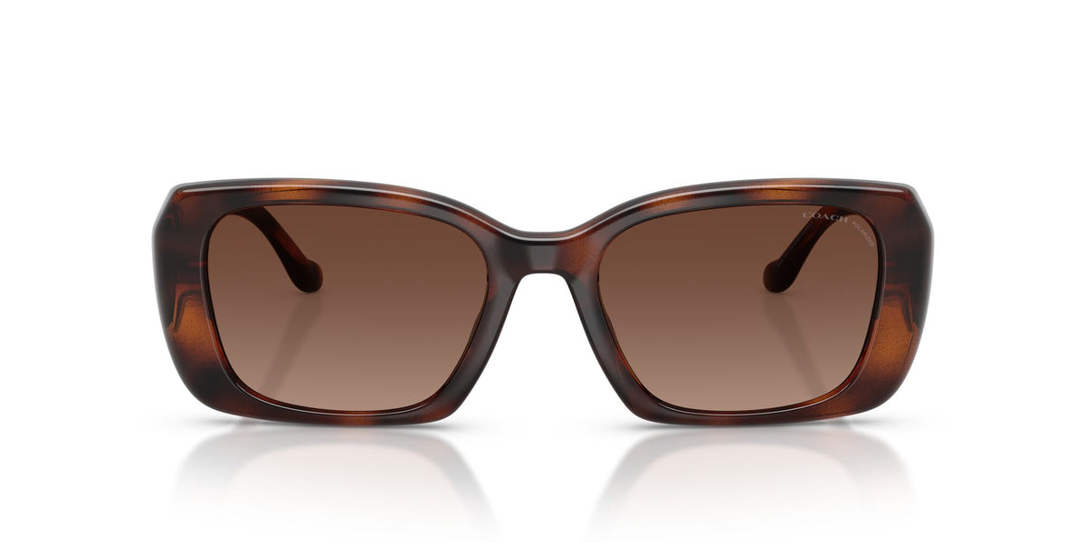 Coach 0HC8435U 5120T5 54 Dark Tortoise/ Brown Gradient Polar
