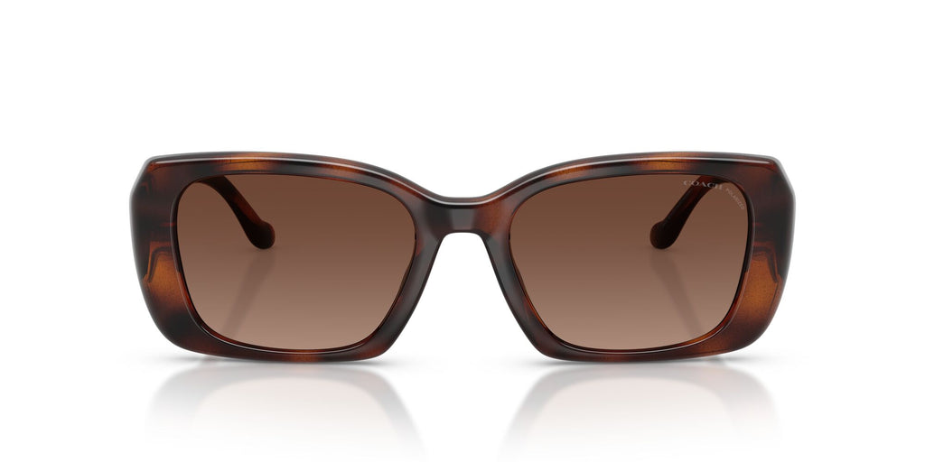 Coach 0HC8435U 5120T5 54 Dark Tortoise/ Brown Gradient Polar