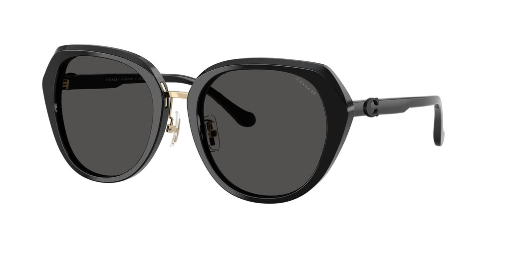 Coach 0HC8436 500287 55 Black/ Grey Solid