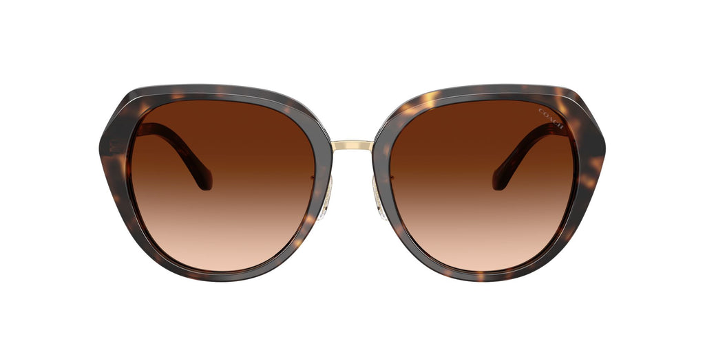 Coach 0HC8436 512074 55 Dark Tortoise/ Brown Gradient