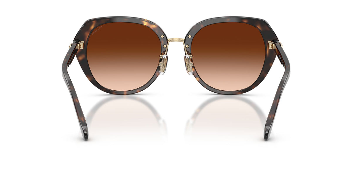 Coach 0HC8436 512074 55 Dark Tortoise/ Brown Gradient