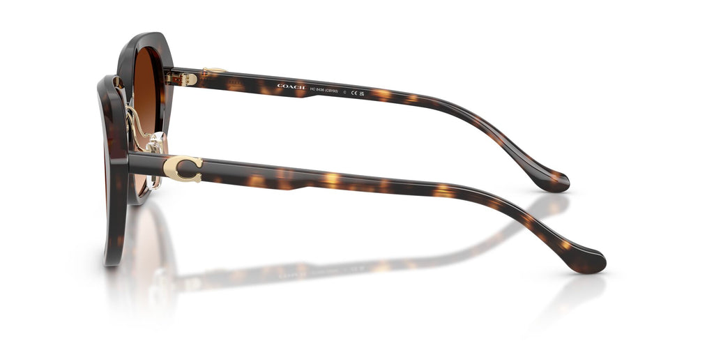 Coach 0HC8436 512074 55 Dark Tortoise/ Brown Gradient