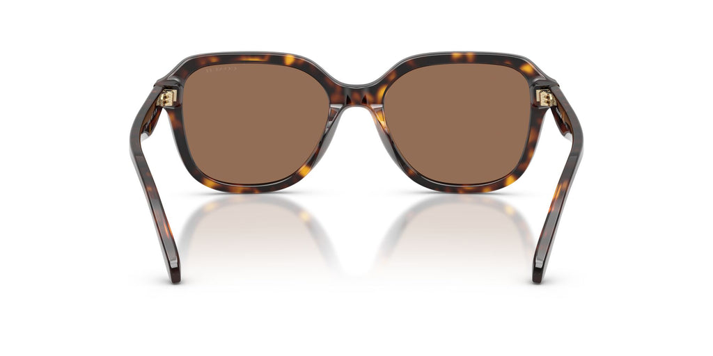 Coach 0HC8437F 512073 56 Dark Tortoise/ Brown Solid