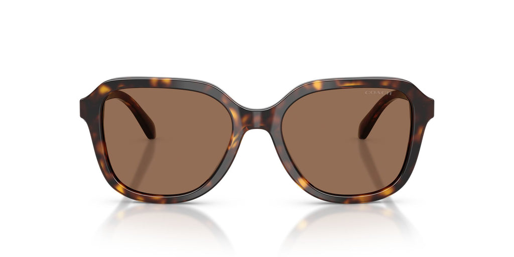 Coach 0HC8437F 512073 56 Dark Tortoise/ Brown Solid
